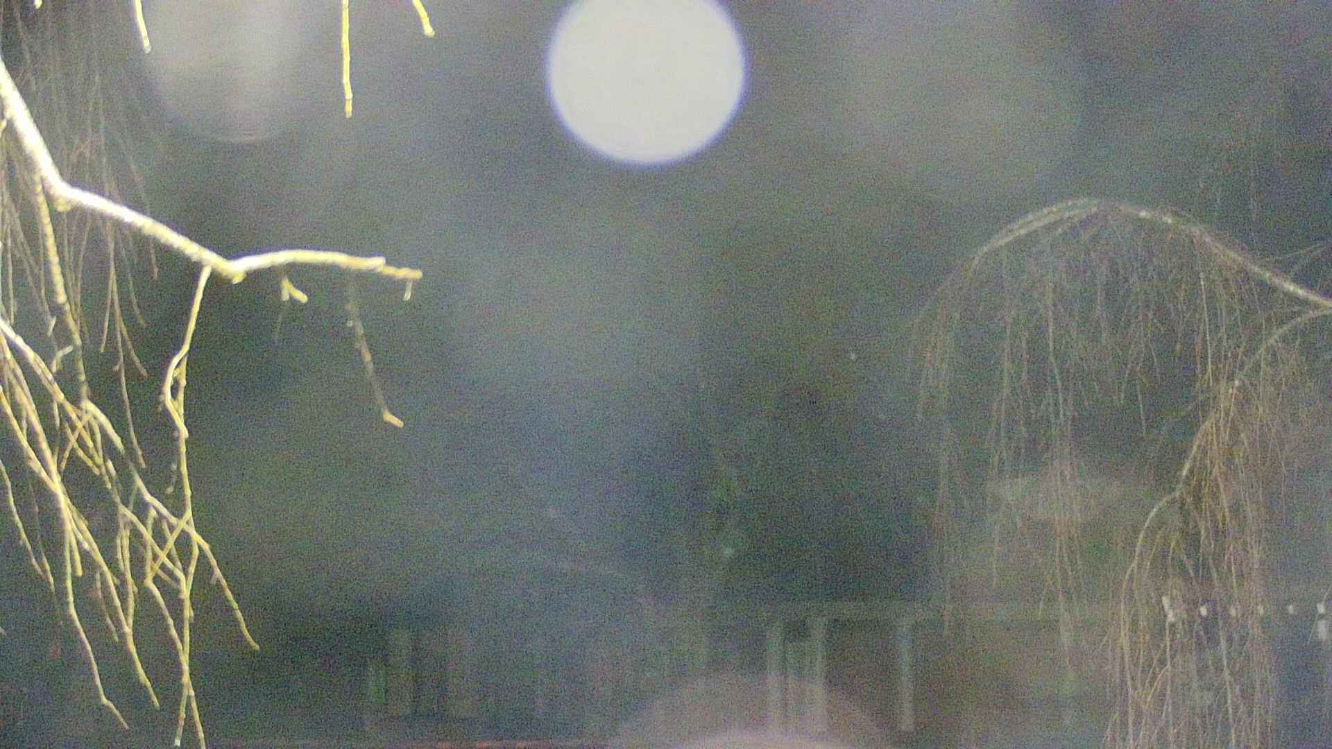 area2-20250409012107.jpg