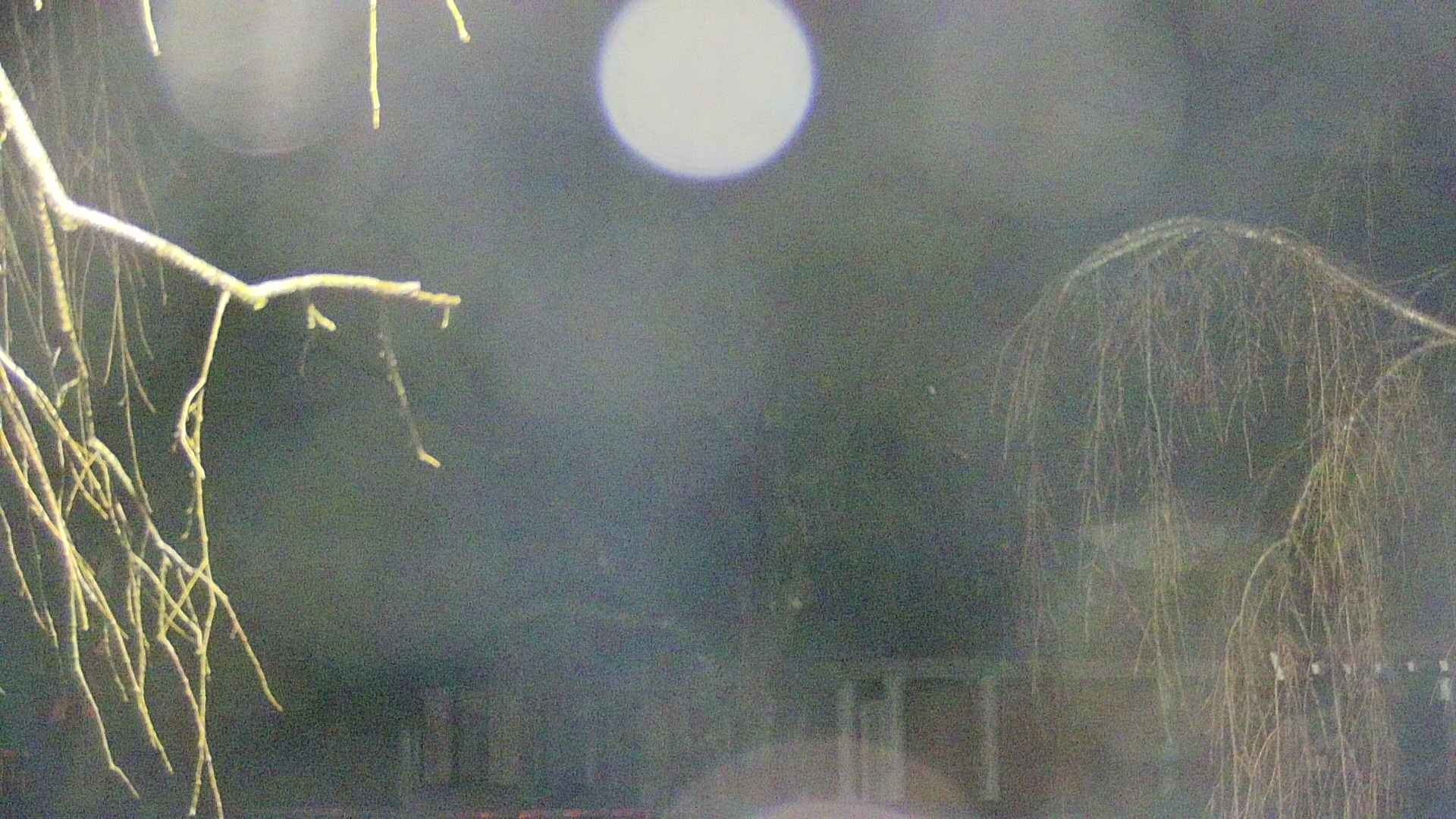 area2-20250409021107.jpg