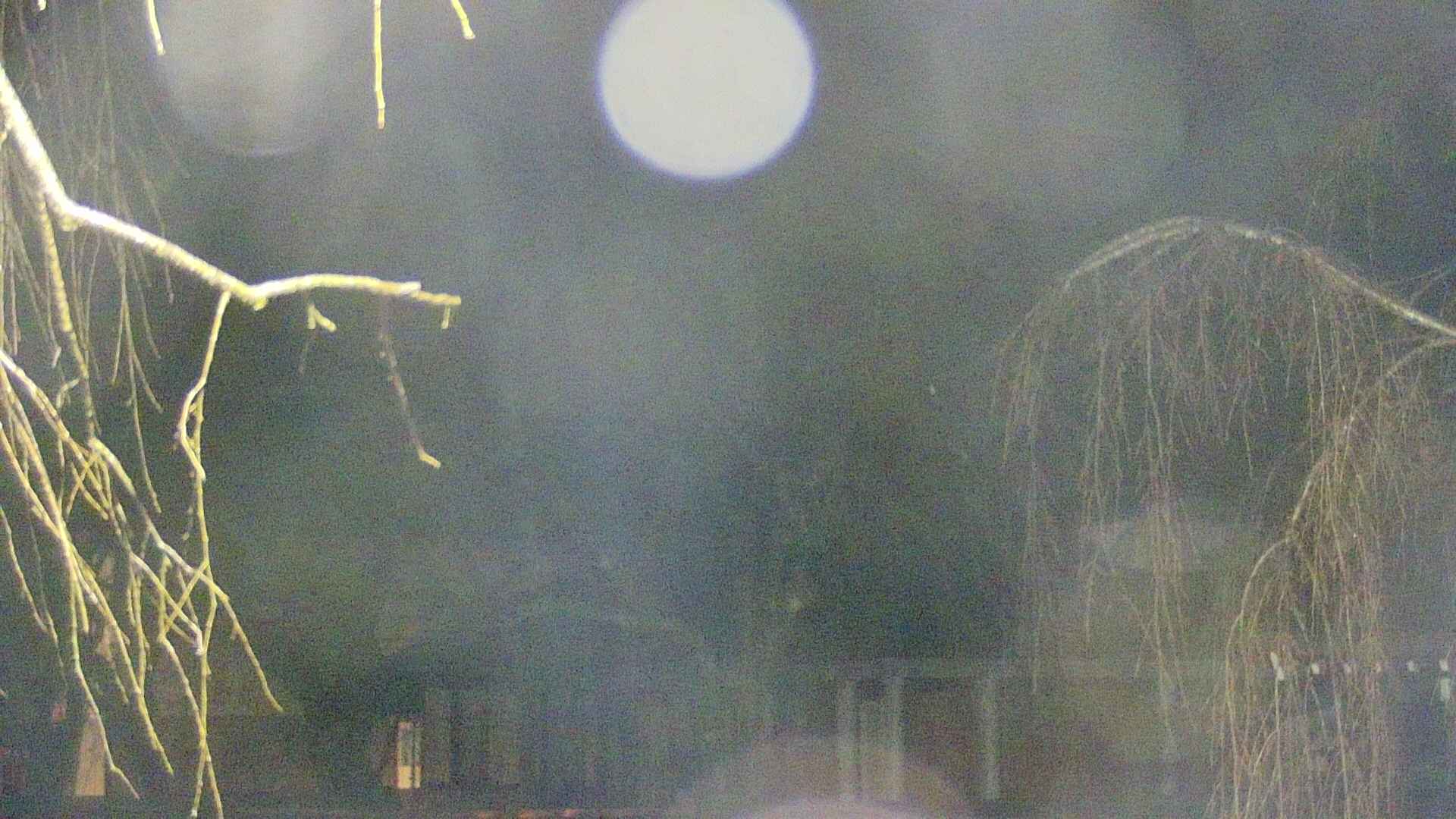 area2-20250409025106.jpg