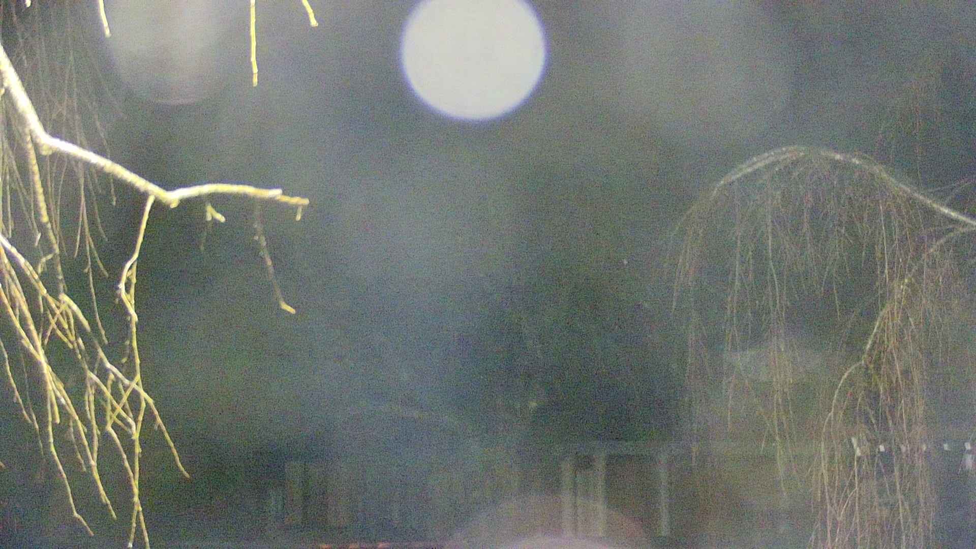area2-20250409030105.jpg