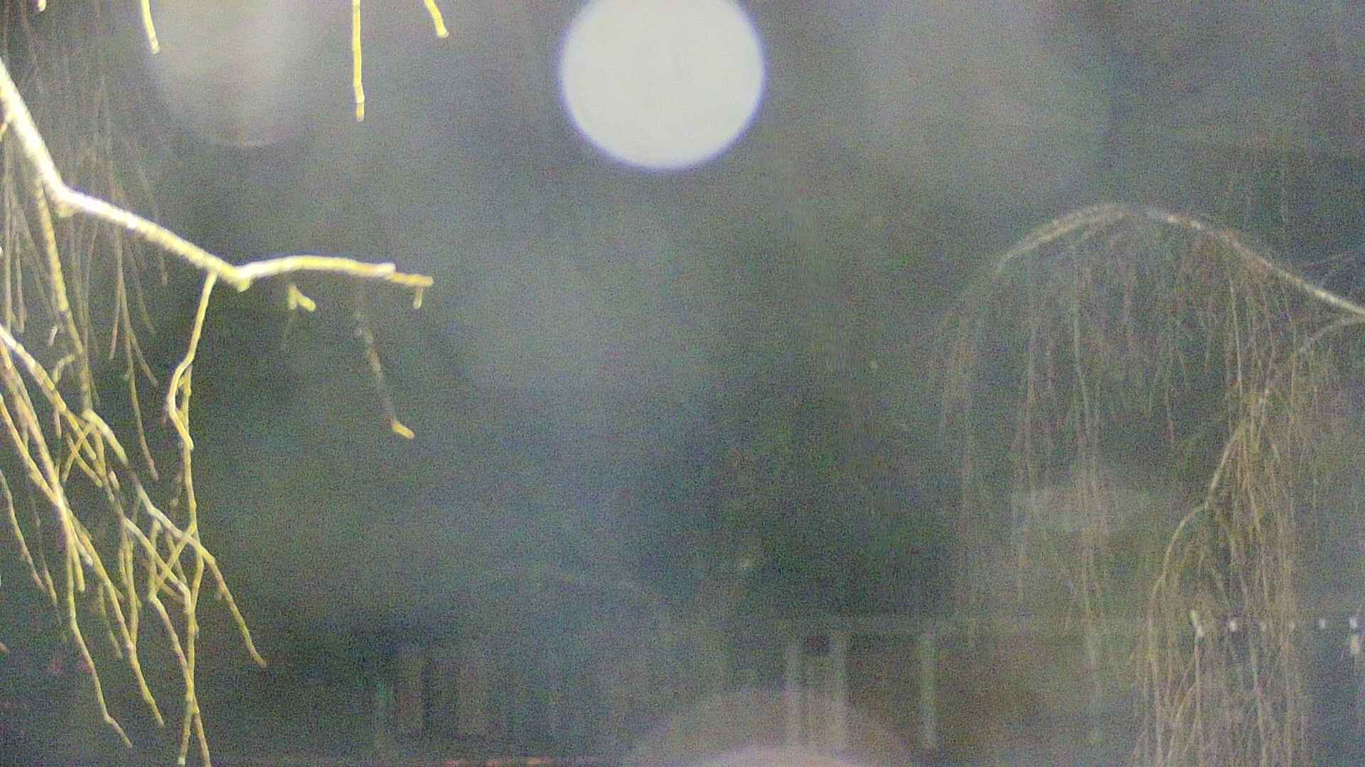 area2-20250409032107.jpg