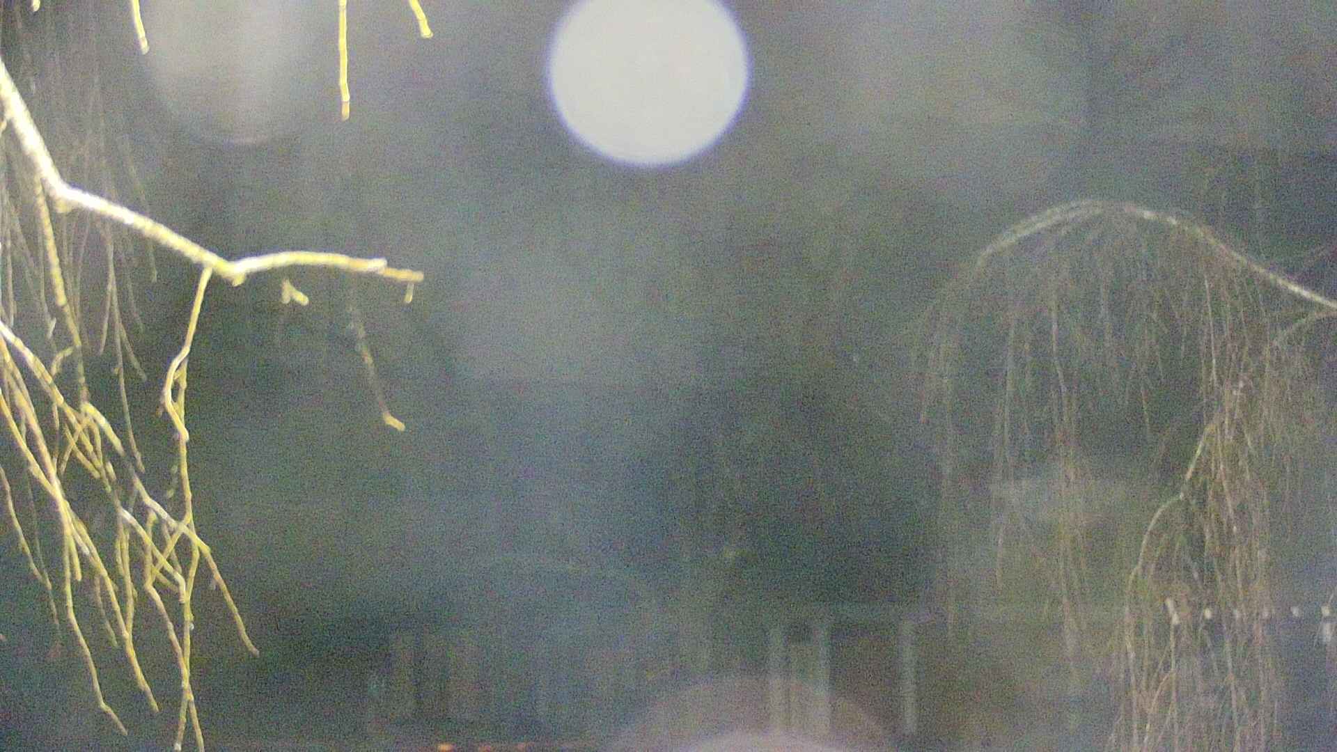 area2-20250409033106.jpg