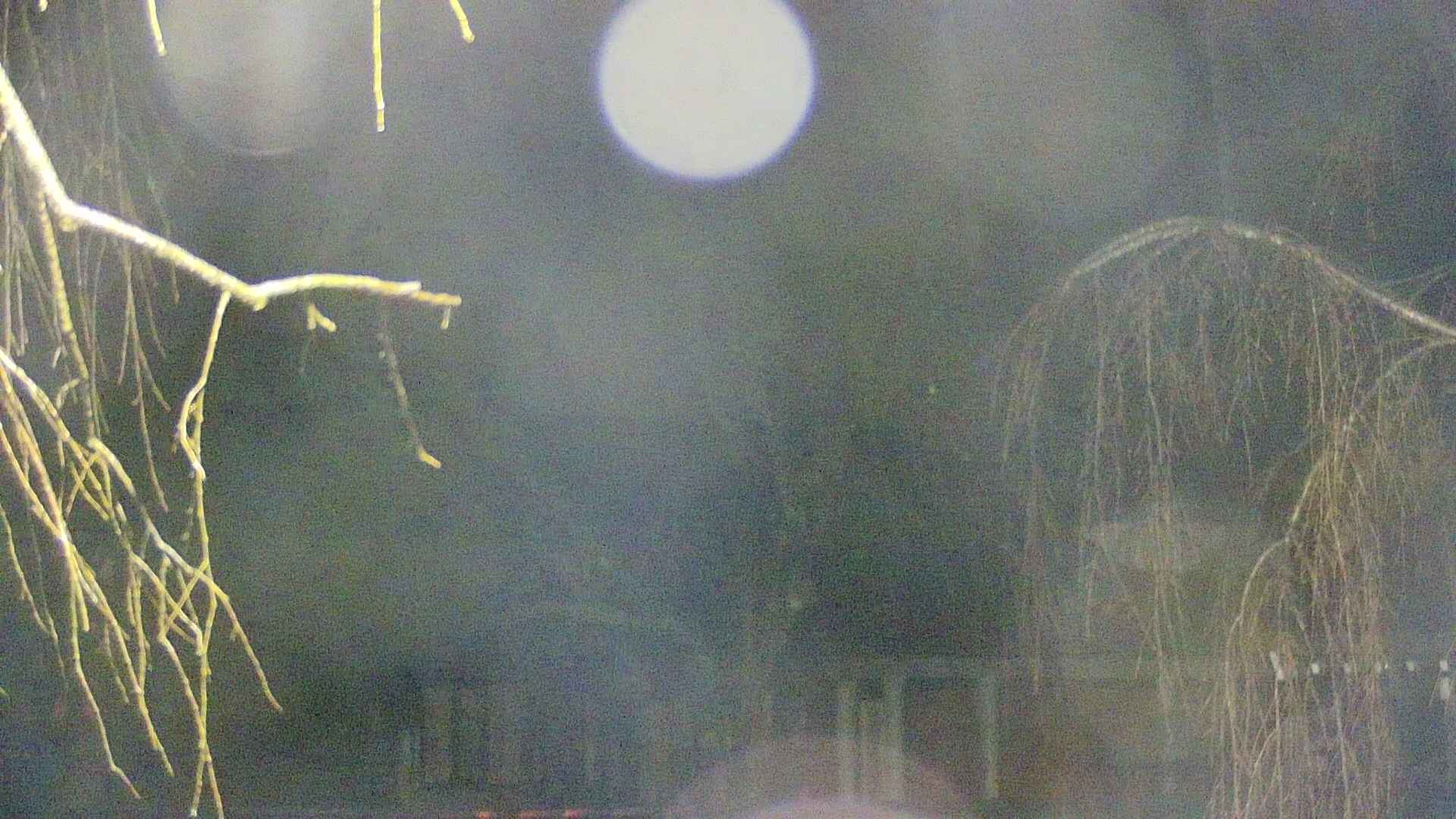 area2-20250409040107.jpg