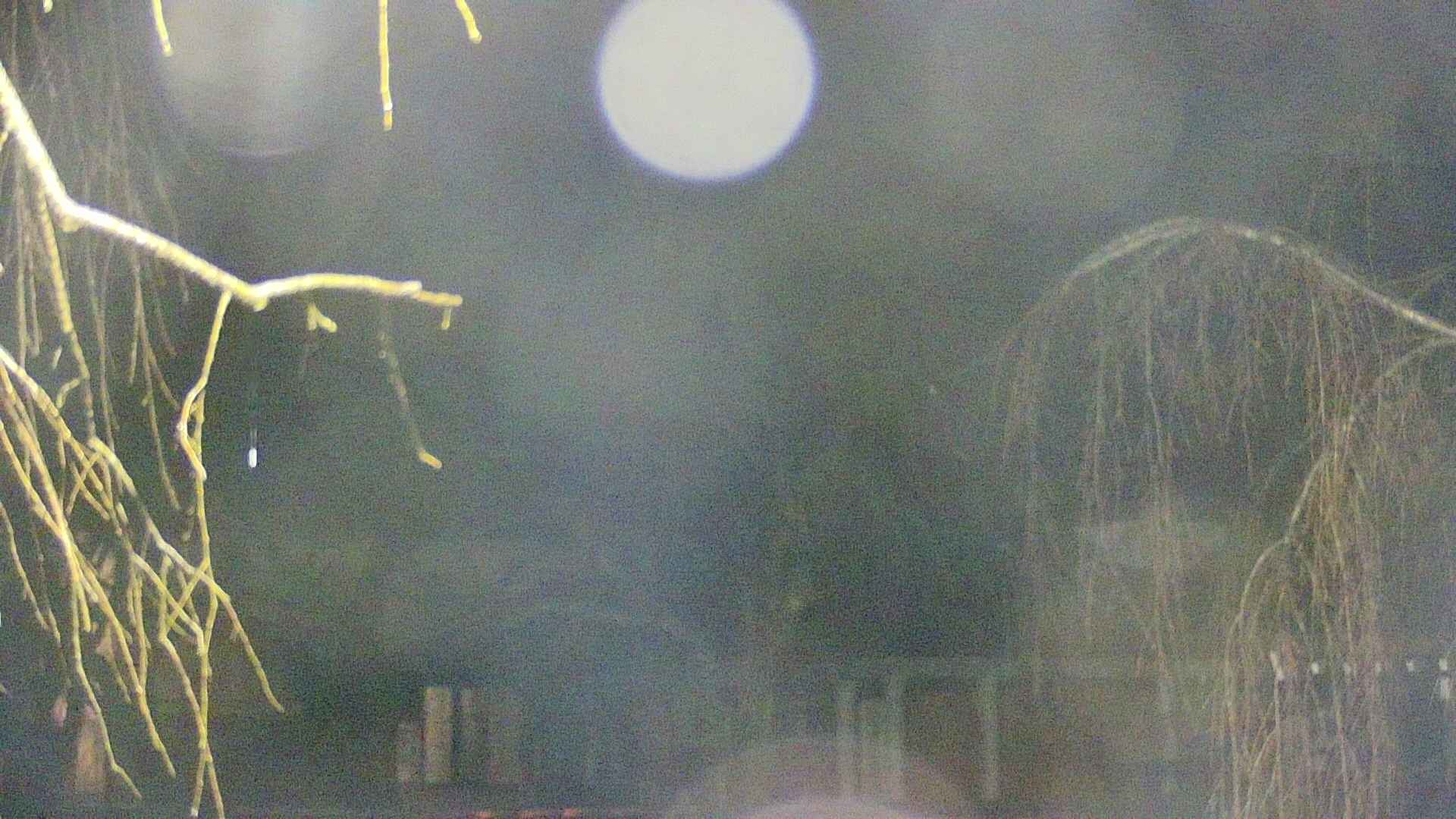 area2-20250409041106.jpg