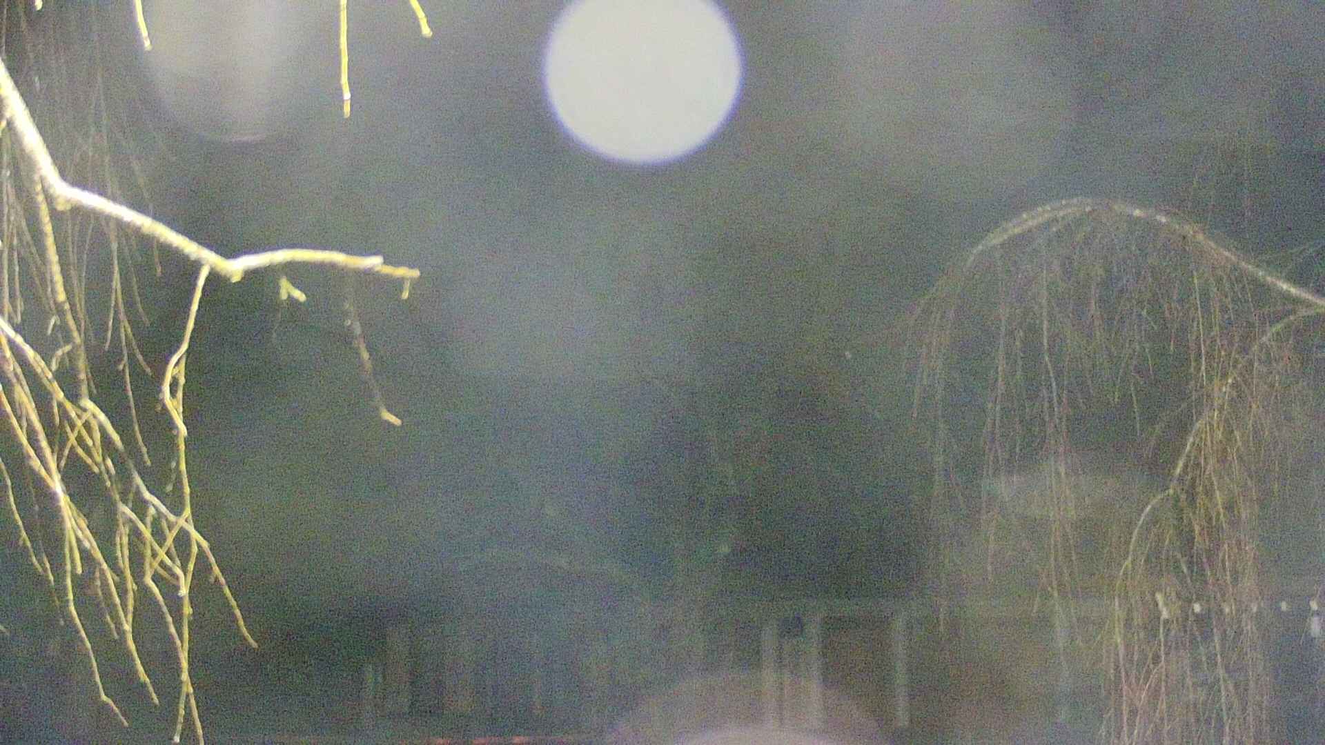area2-20250409042106.jpg