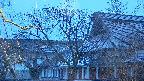 area2-20250409050107.jpg
