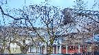 area2-20250409055106.jpg