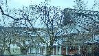 area2-20250409060106.jpg