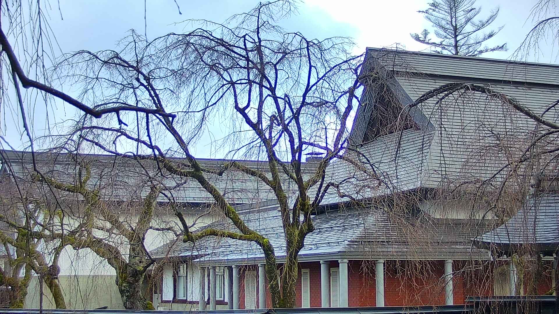 area2-20250409063107.jpg