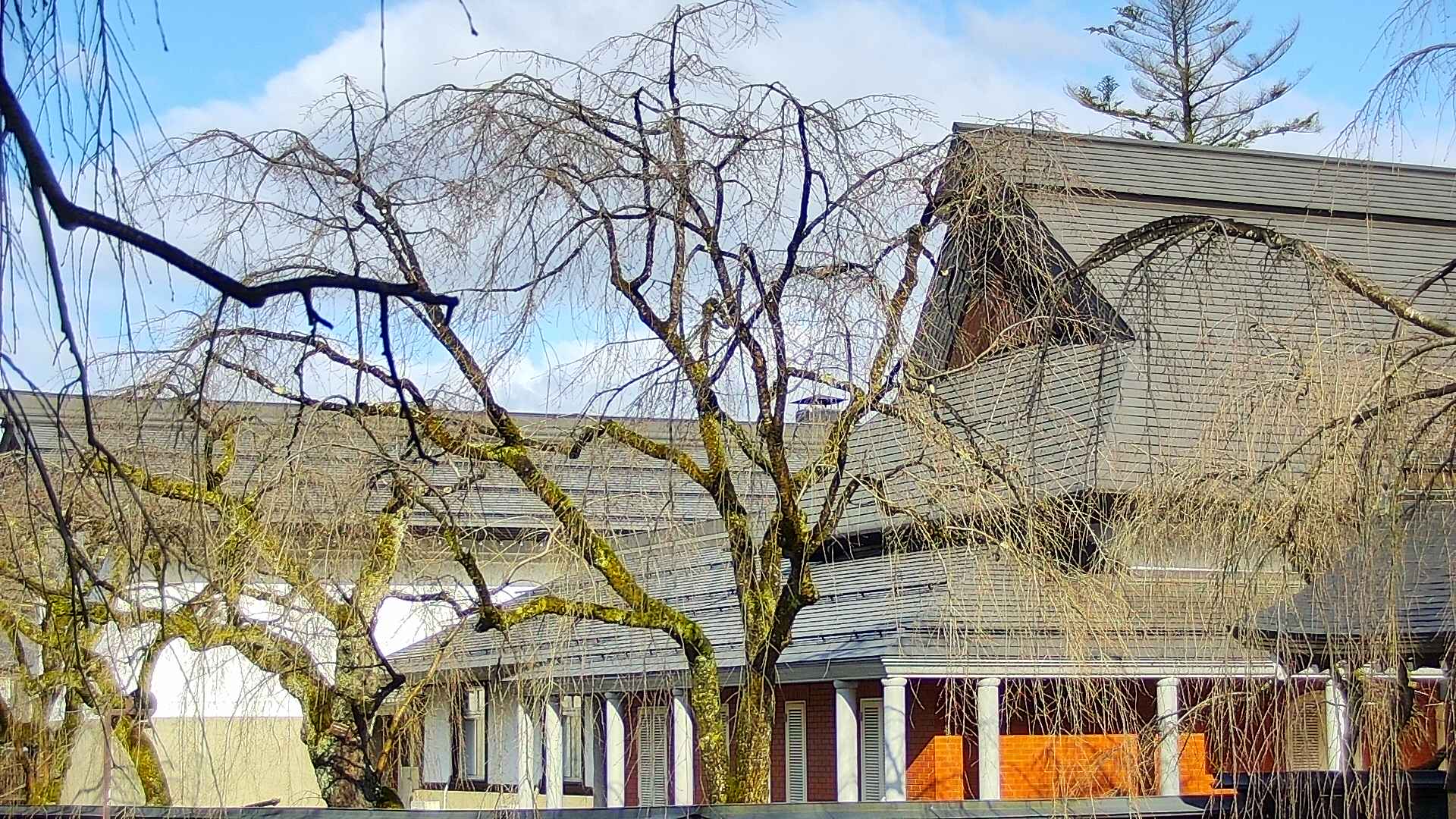 area2-20250409074105.jpg
