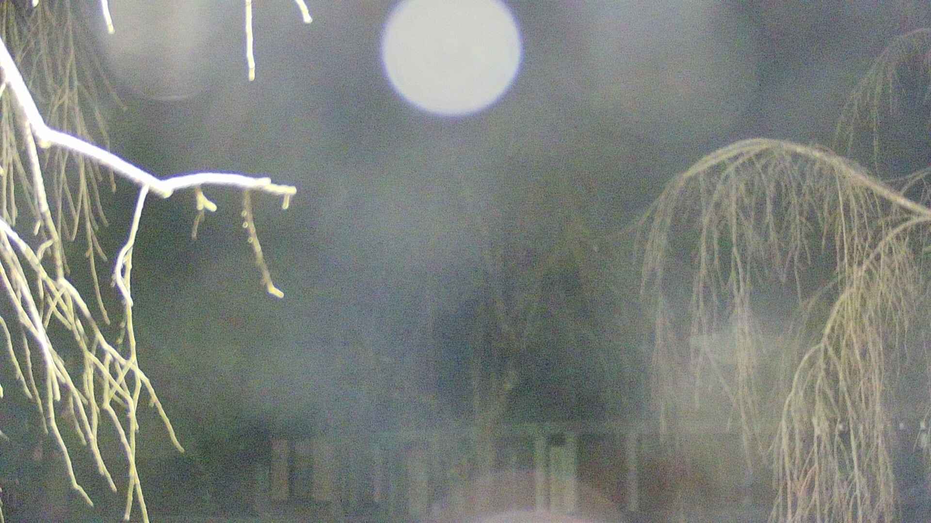area2-20250409190106.jpg