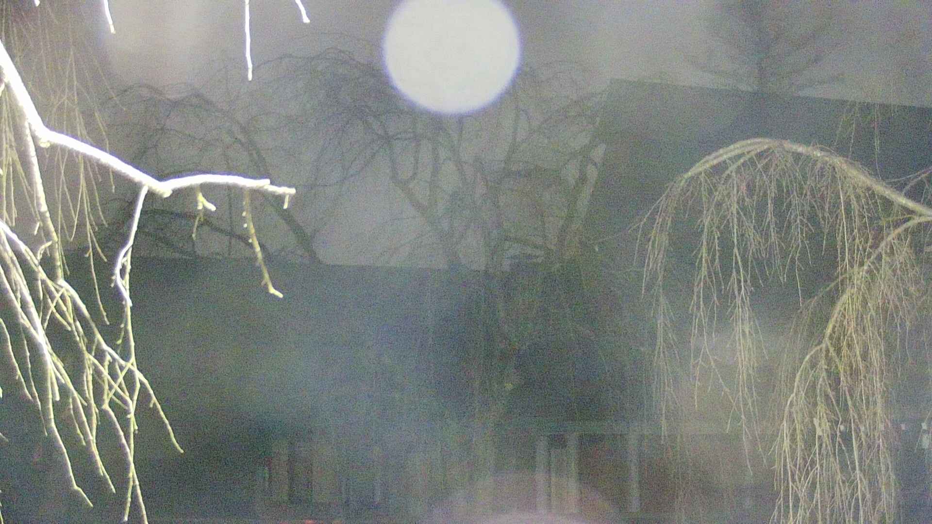 area2-20250410013106.jpg