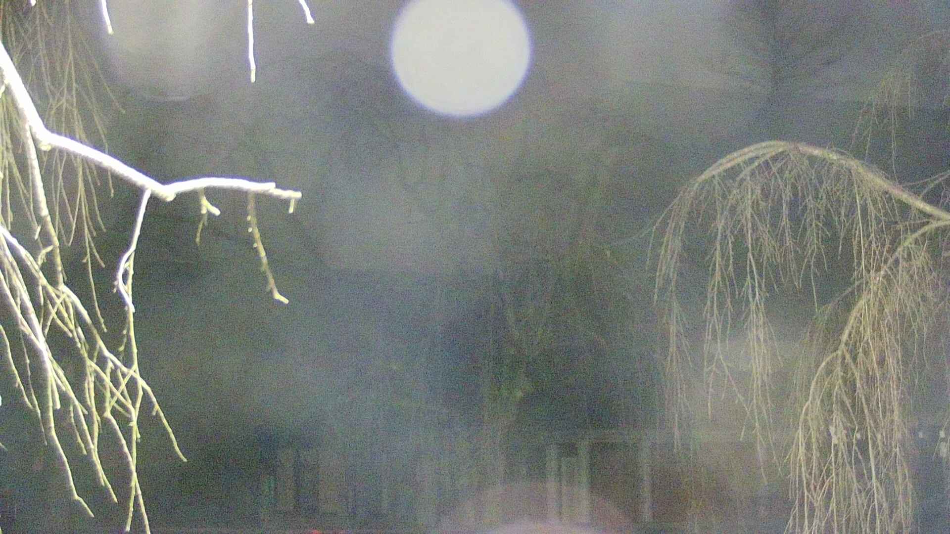 area2-20250410015106.jpg