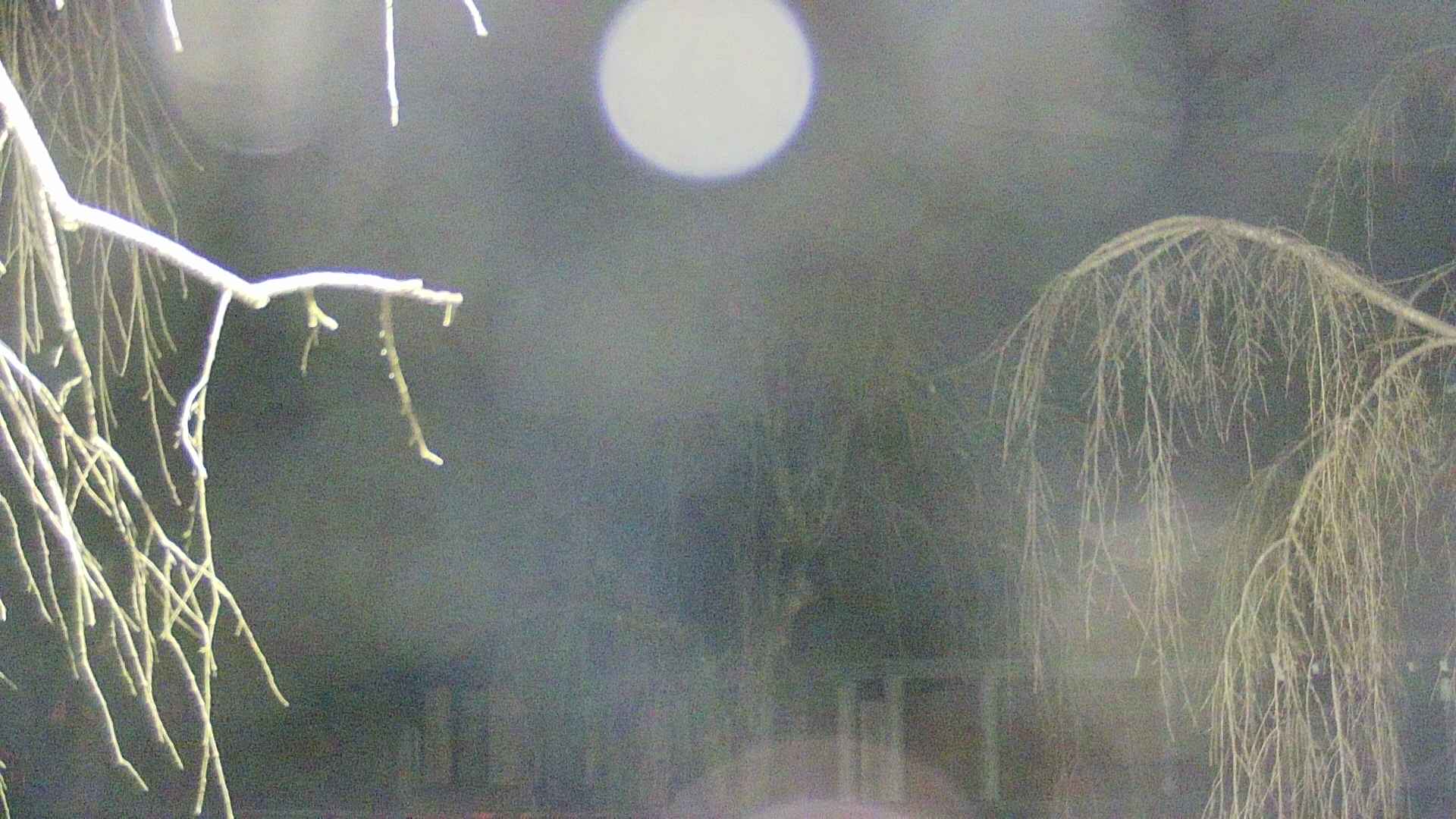 area2-20250410021106.jpg