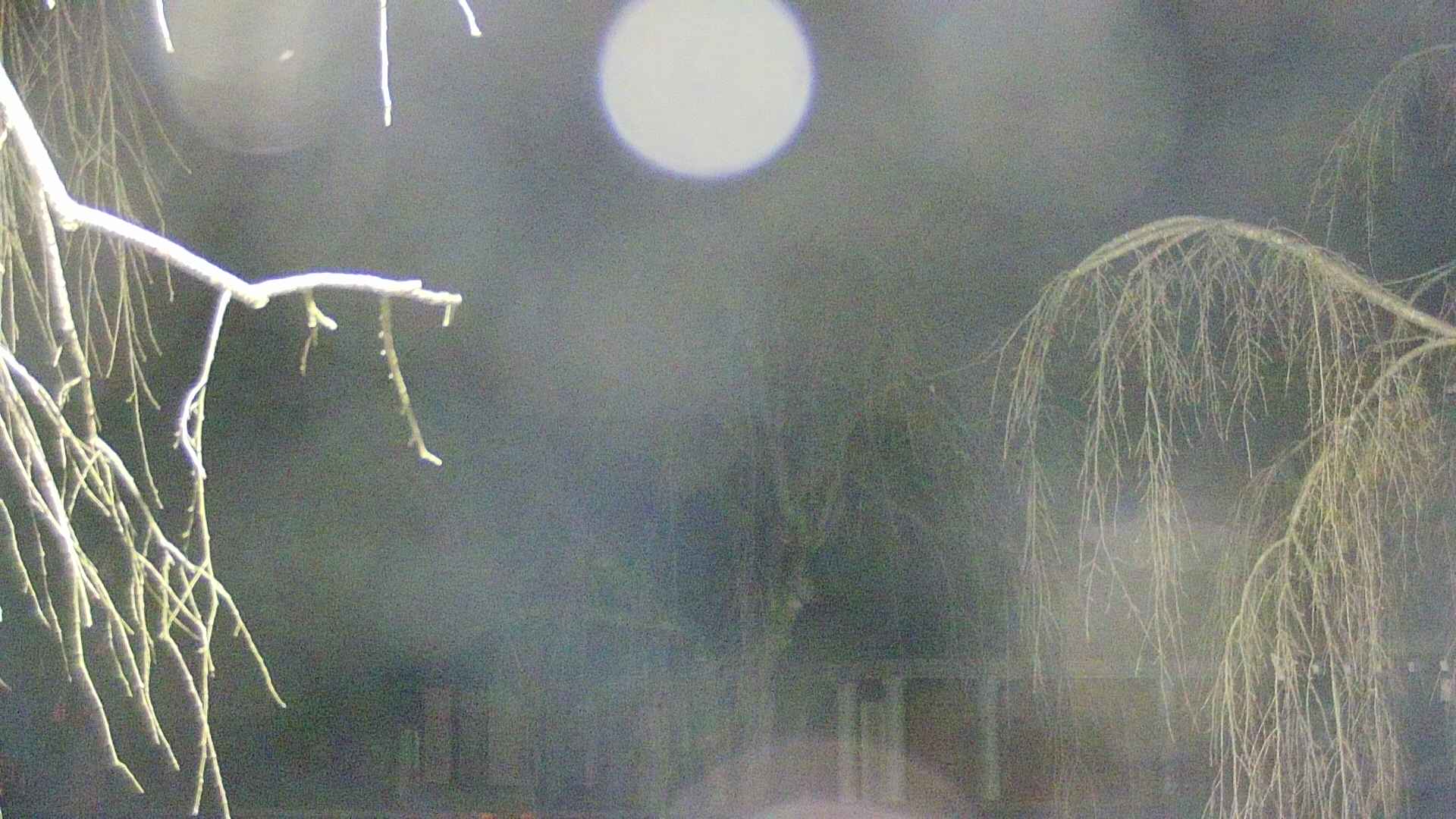 area2-20250410030107.jpg