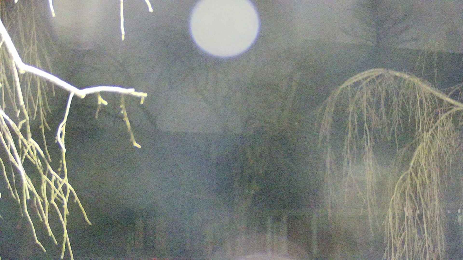 area2-20250410035105.jpg