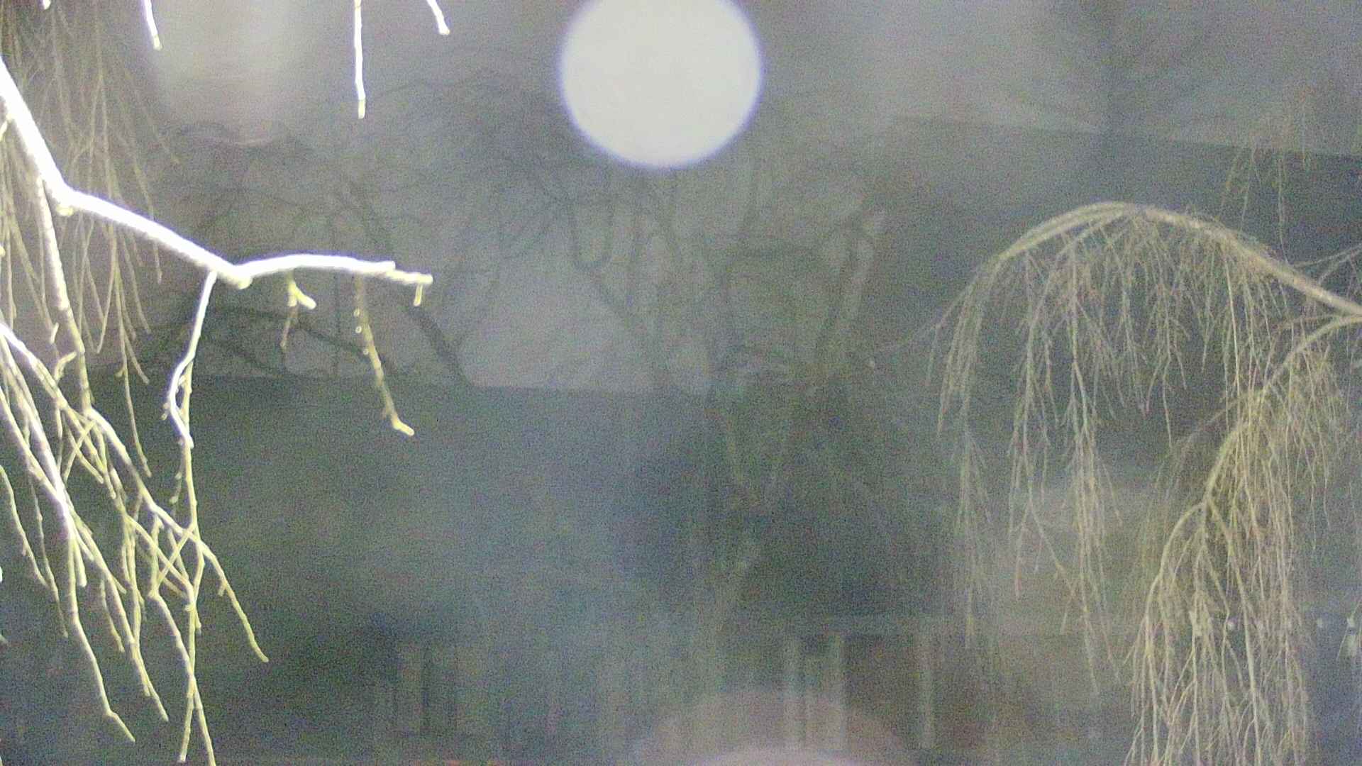 area2-20250410041106.jpg