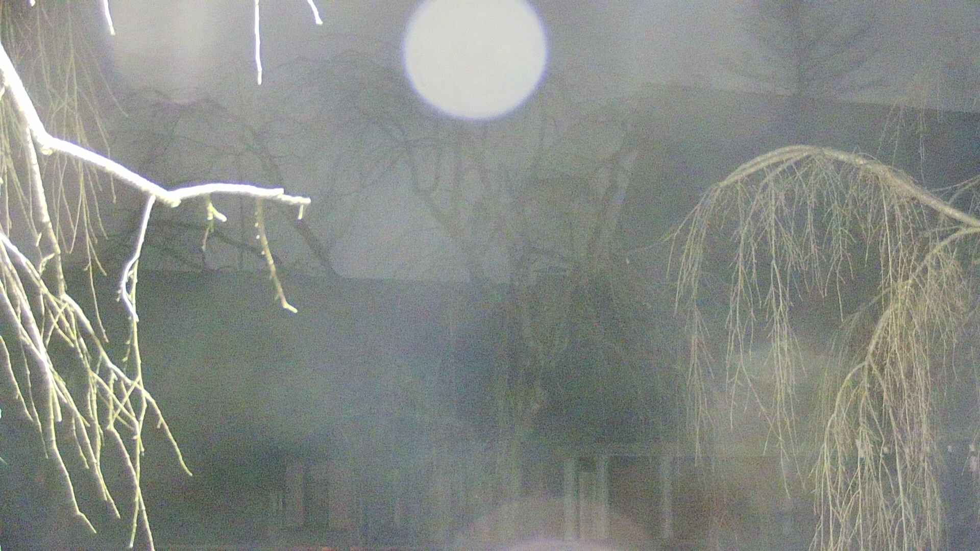 area2-20250410042106.jpg