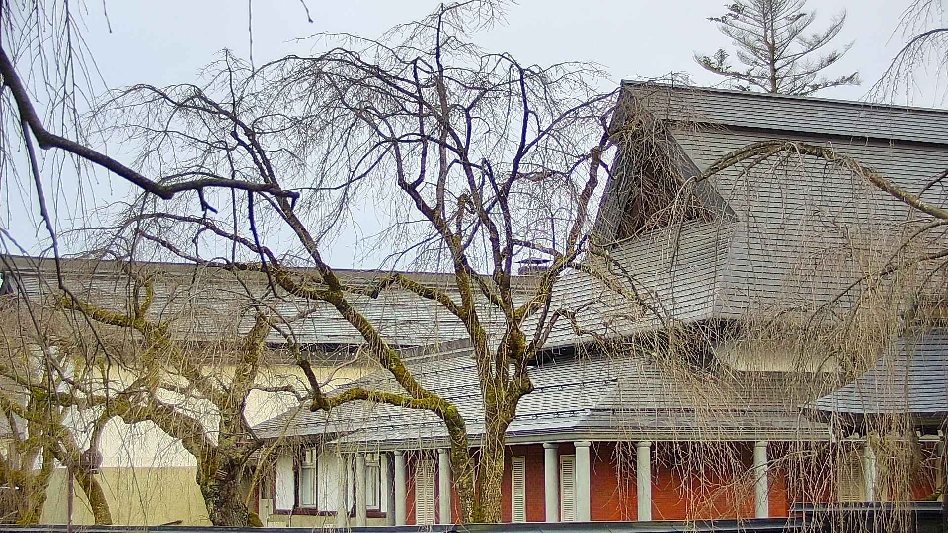 area2-20250410063107.jpg