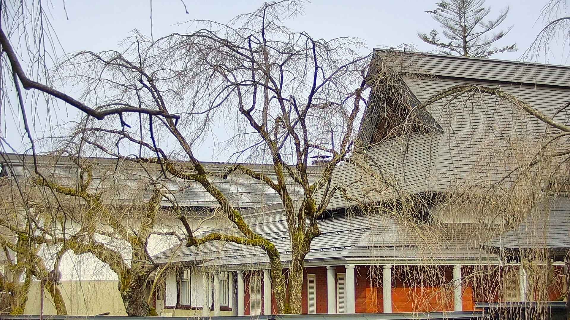 area2-20250410074105.jpg