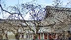 area2-20250410115108.jpg