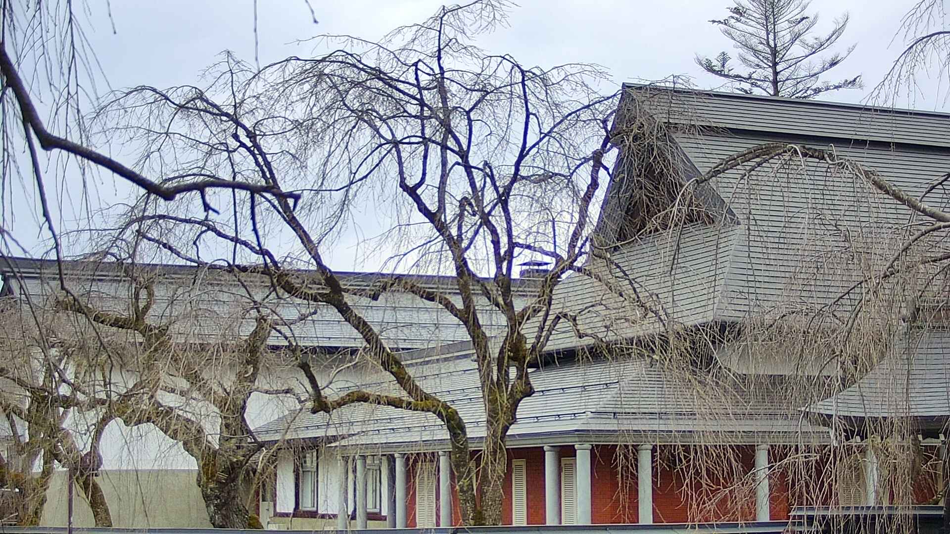 area2-20250410163107.jpg