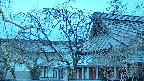 area2-20250410181107.jpg