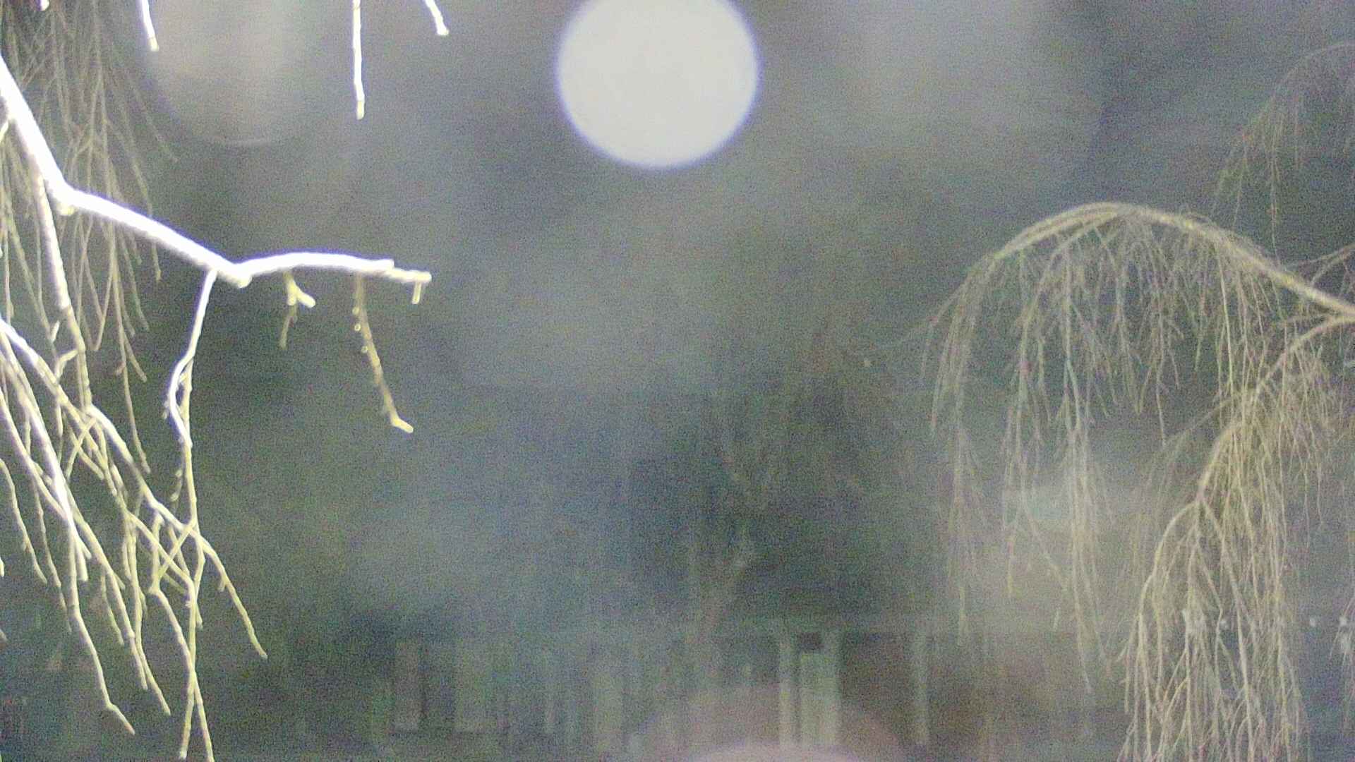 area2-20250410212106.jpg