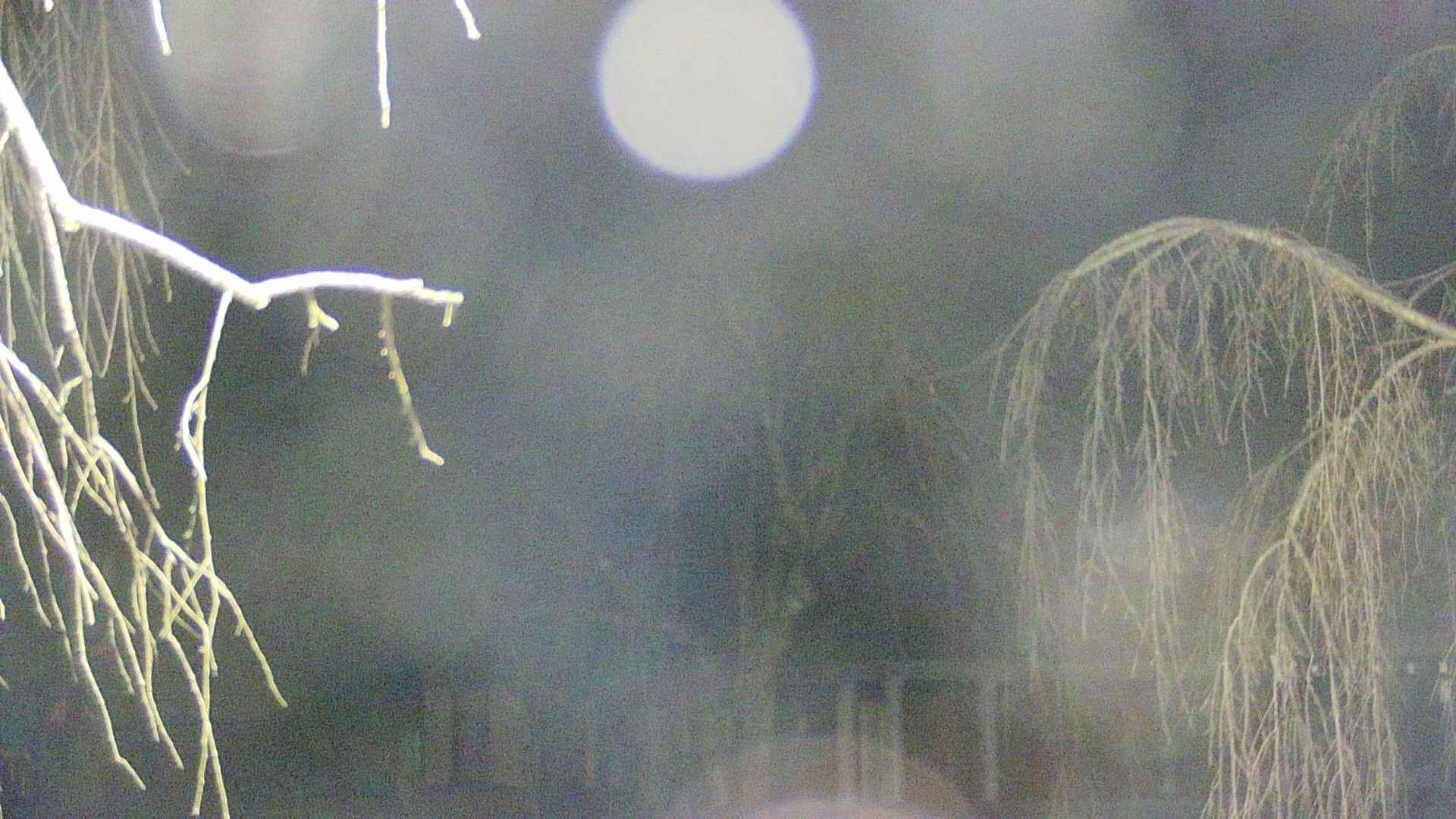area2-20250411015104.jpg