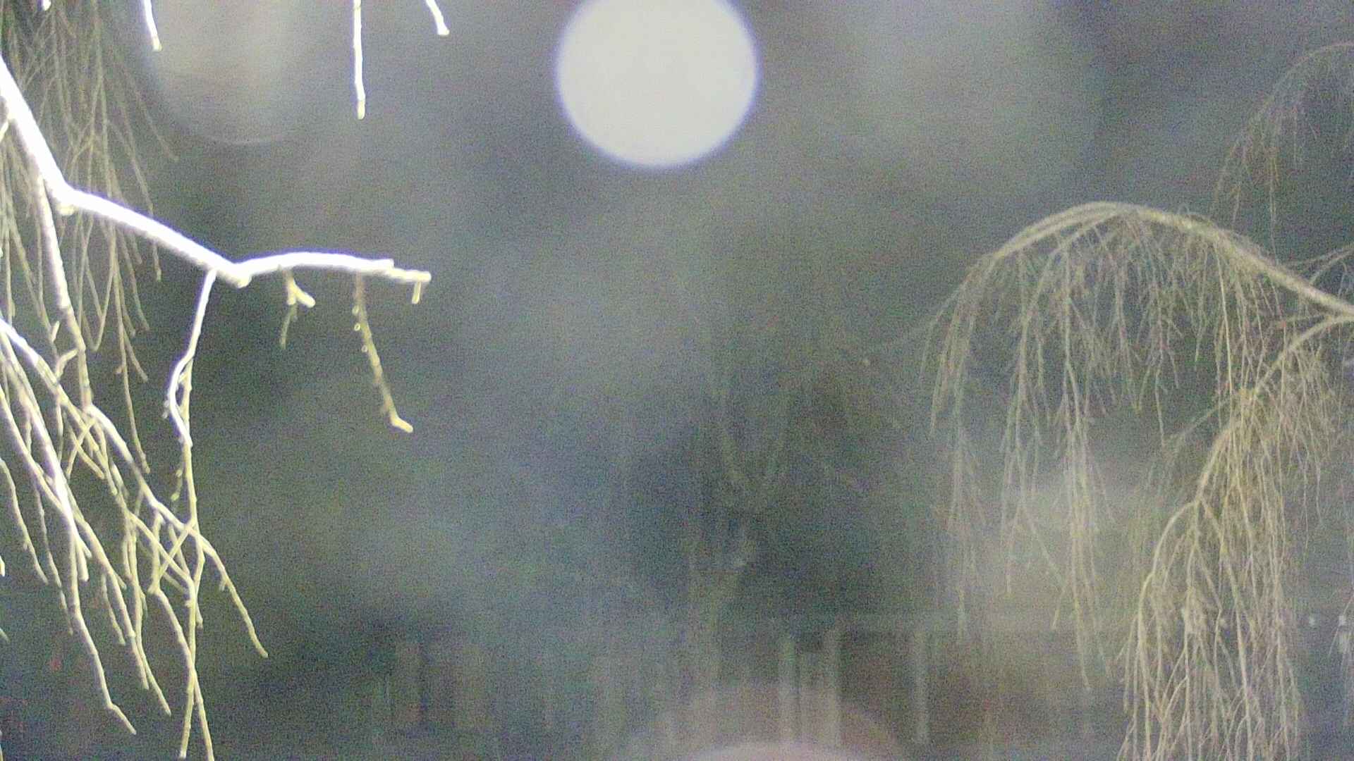 area2-20250411021107.jpg