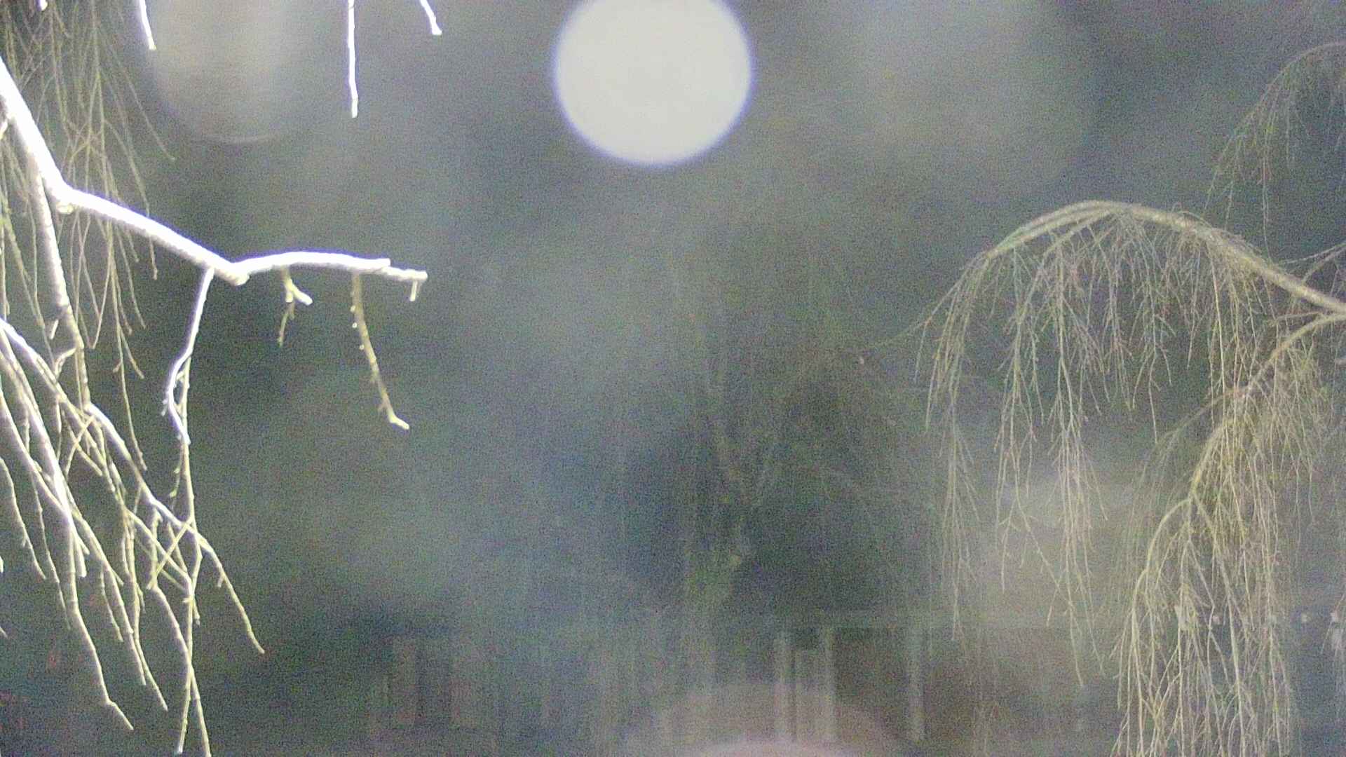 area2-20250411025105.jpg