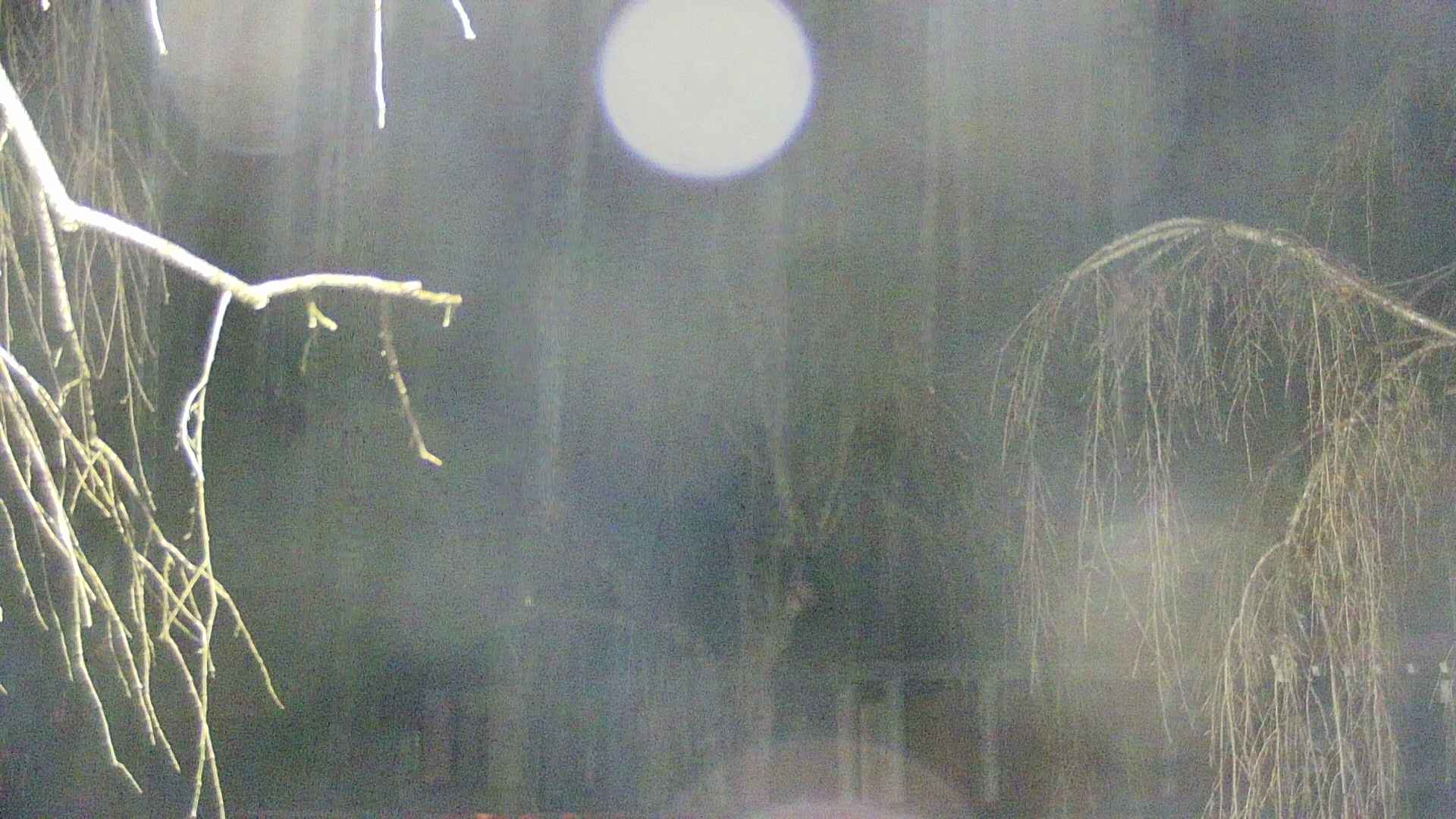 area2-20250411040105.jpg