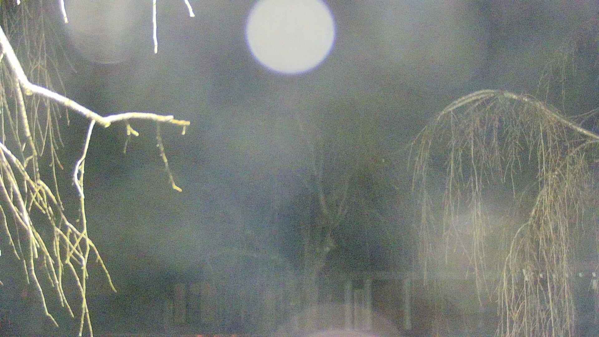 area2-20250411041106.jpg