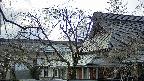 area2-20250411152106.jpg