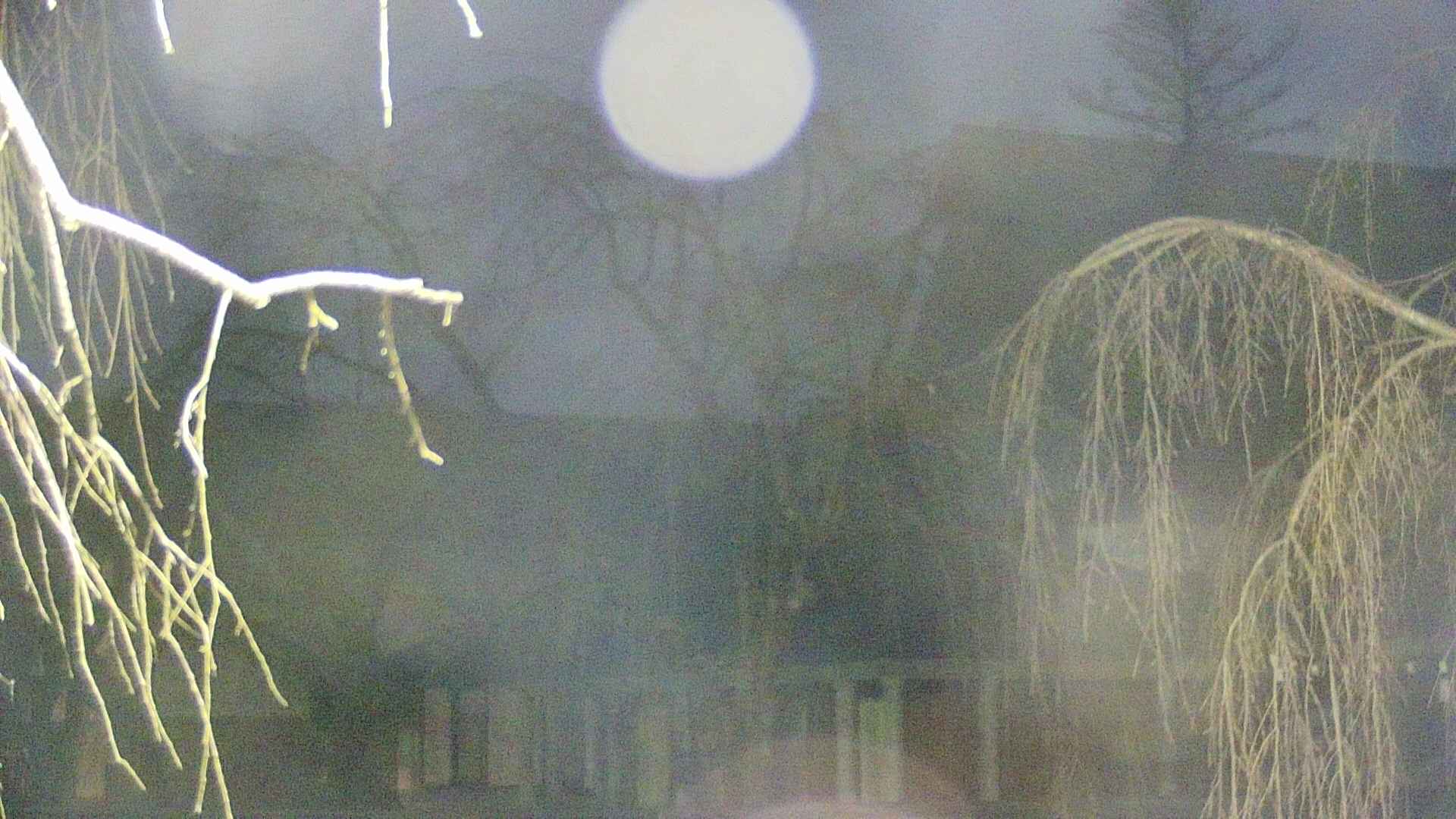 area2-20250411190107.jpg