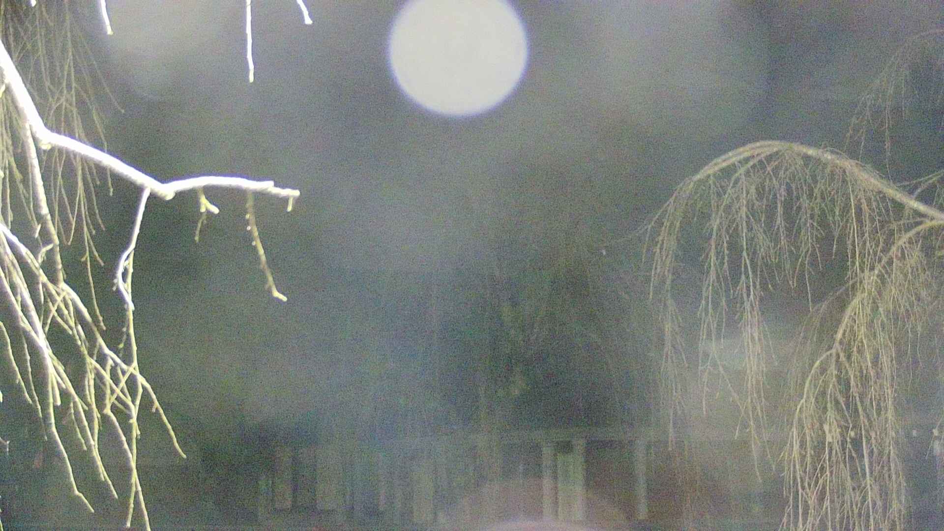 area2-20250411193104.jpg