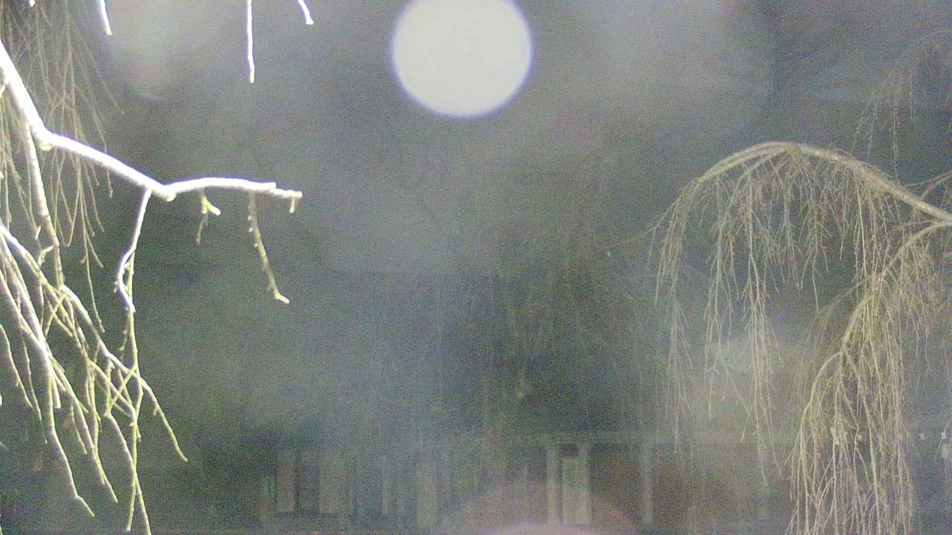 area2-20250411212106.jpg