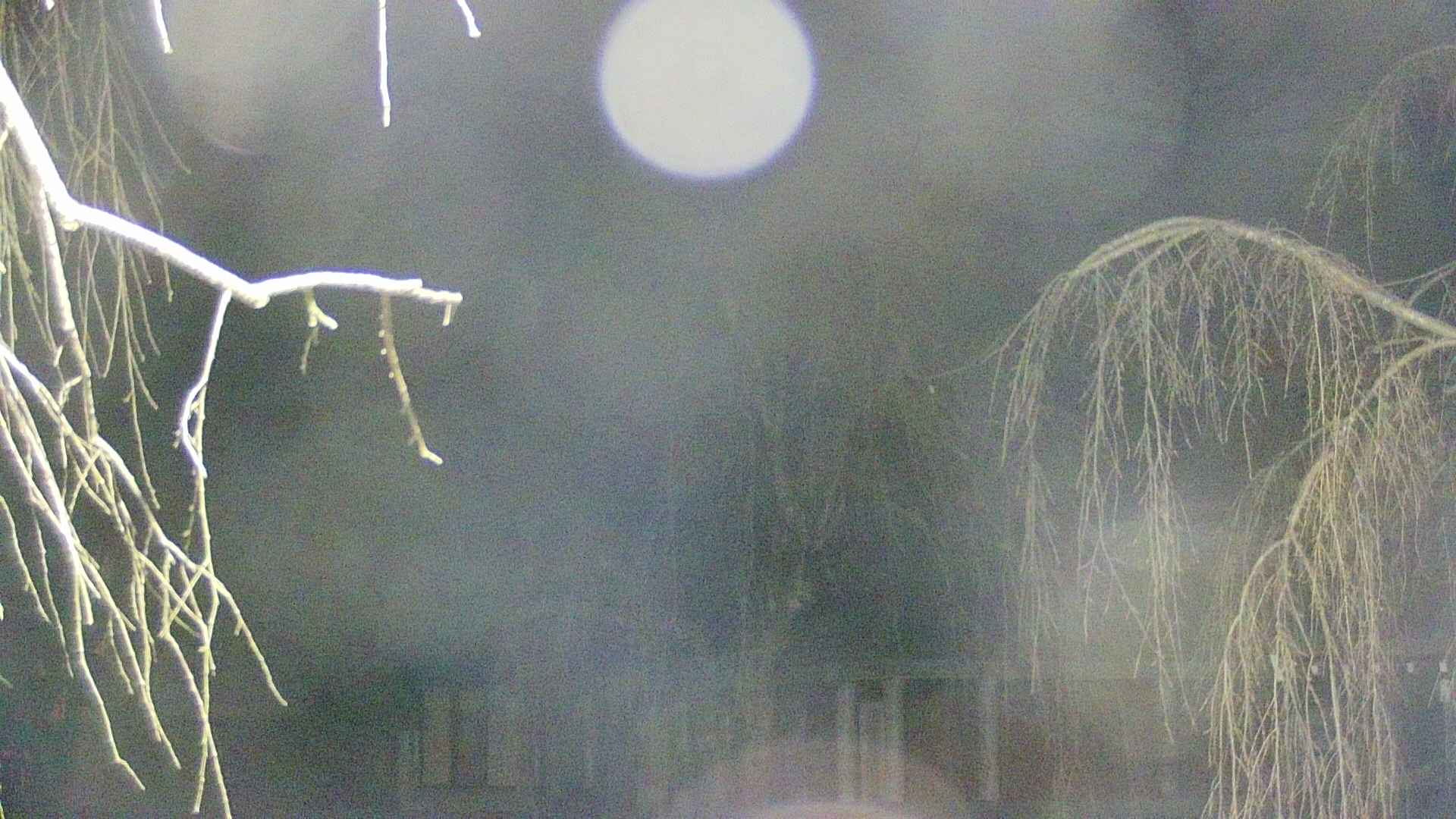 area2-20250412013107.jpg