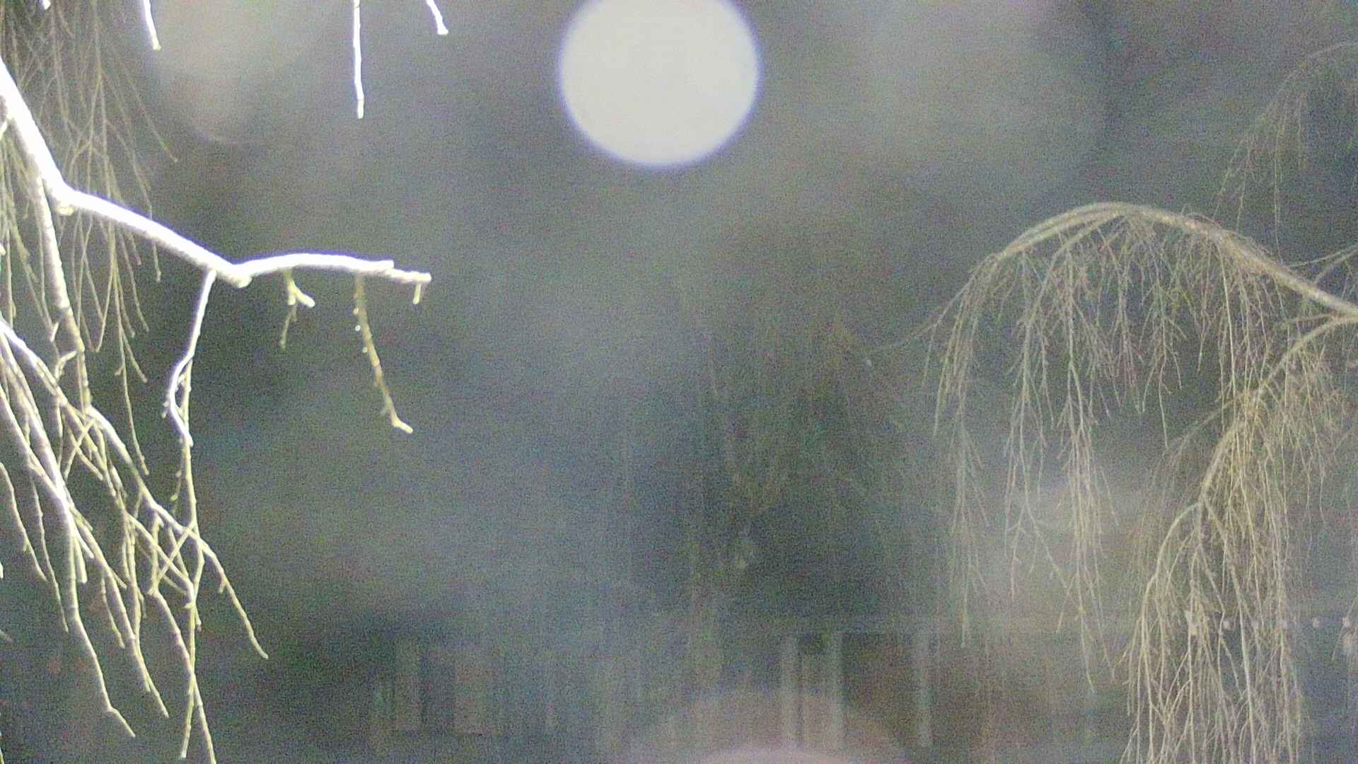 area2-20250412015105.jpg