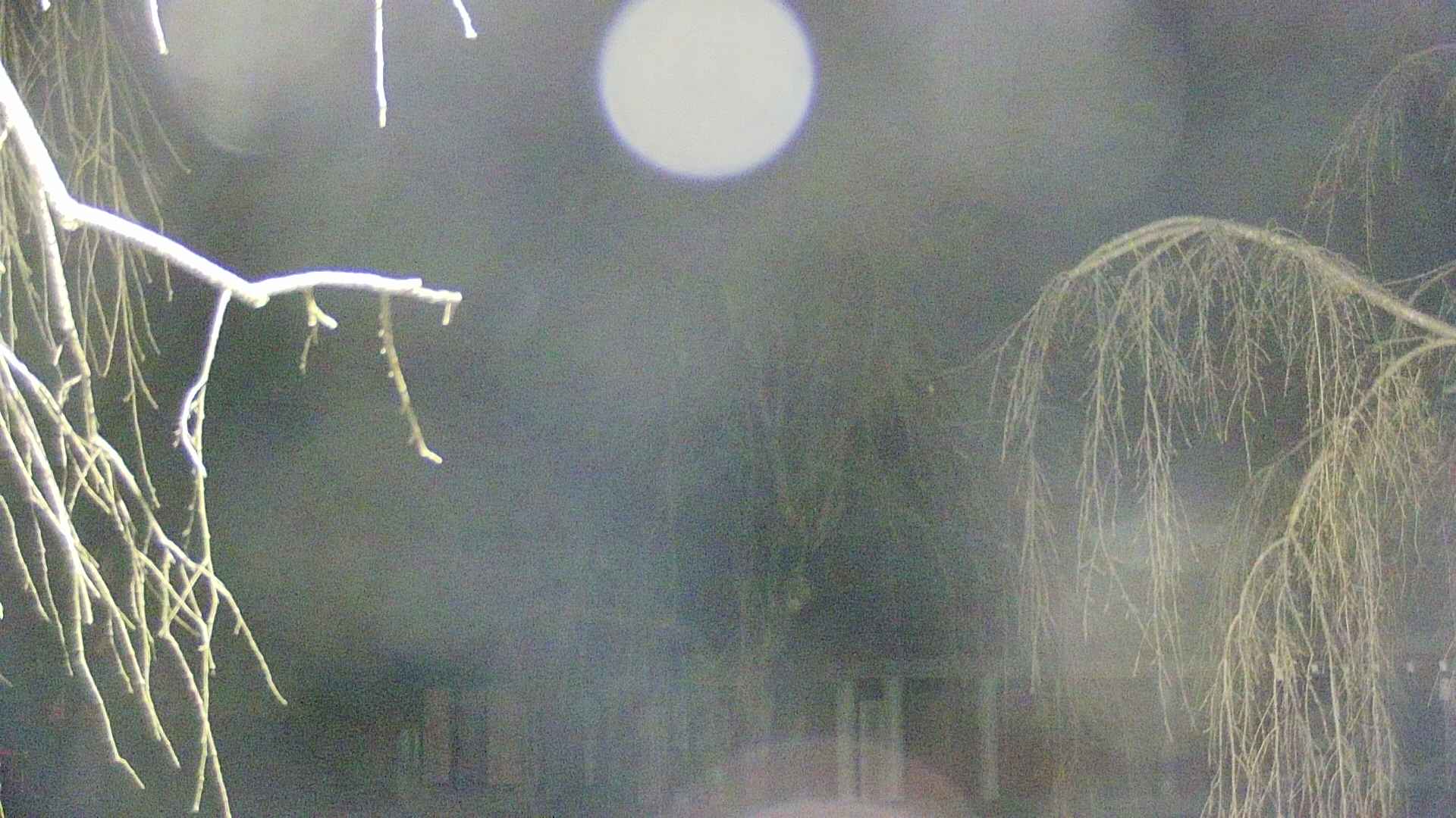 area2-20250412022107.jpg