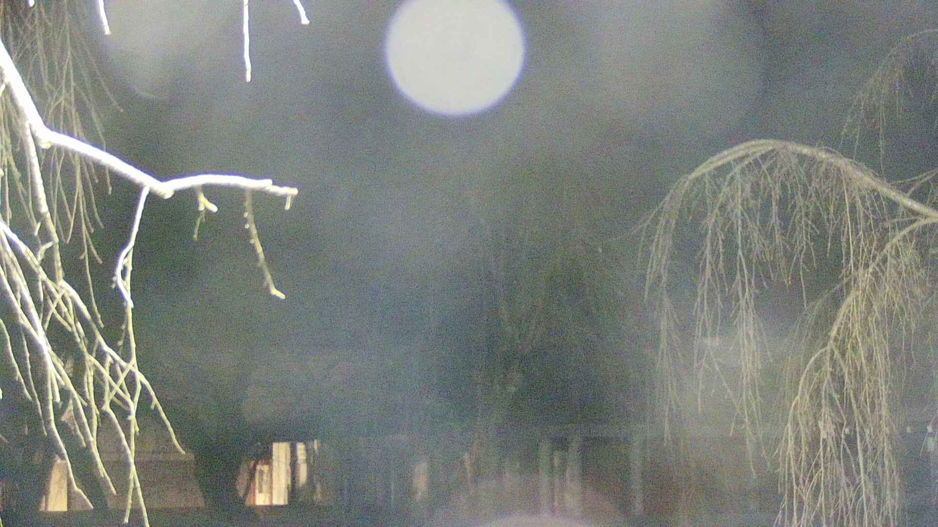 area2-20250412025106.jpg