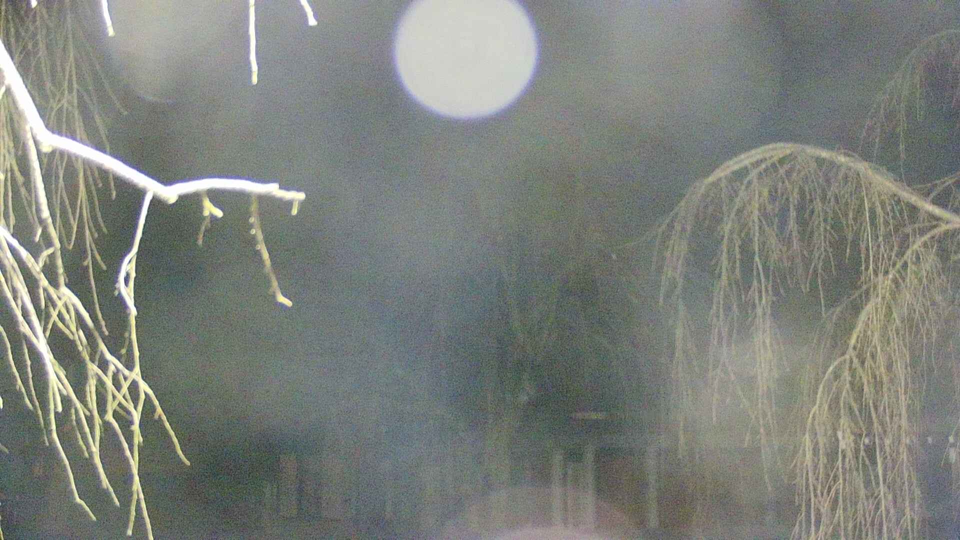 area2-20250412030107.jpg