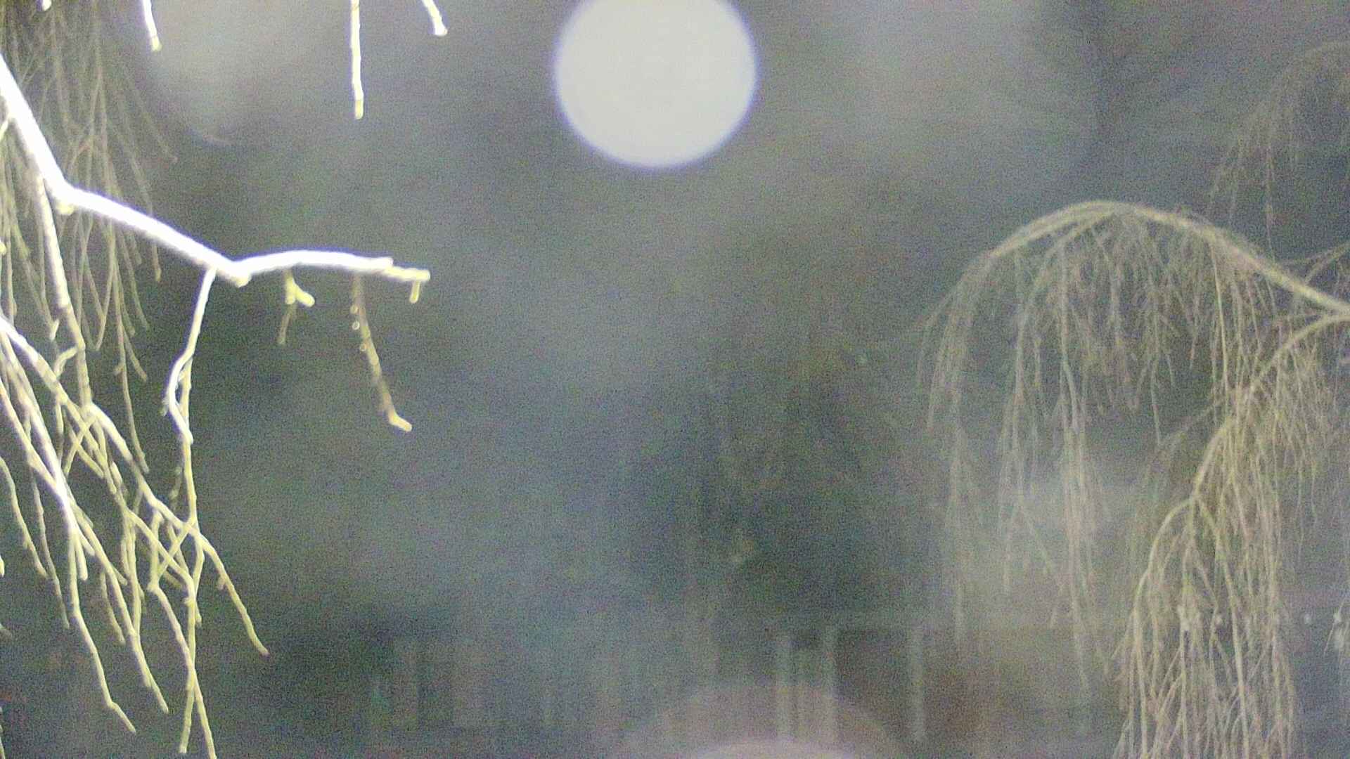 area2-20250412034107.jpg