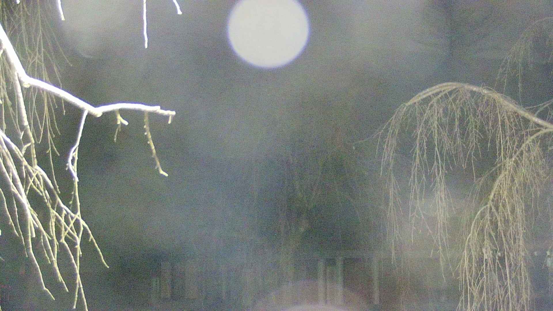 area2-20250412035106.jpg