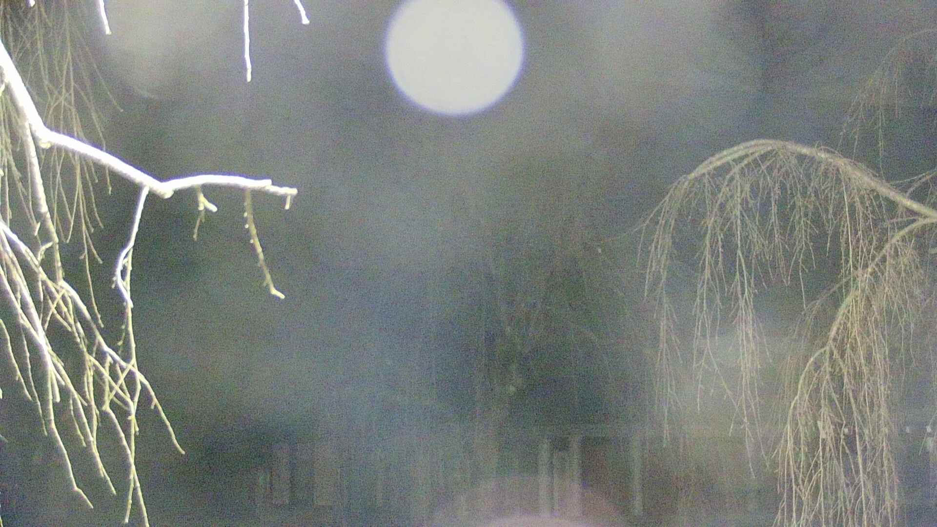area2-20250412040107.jpg