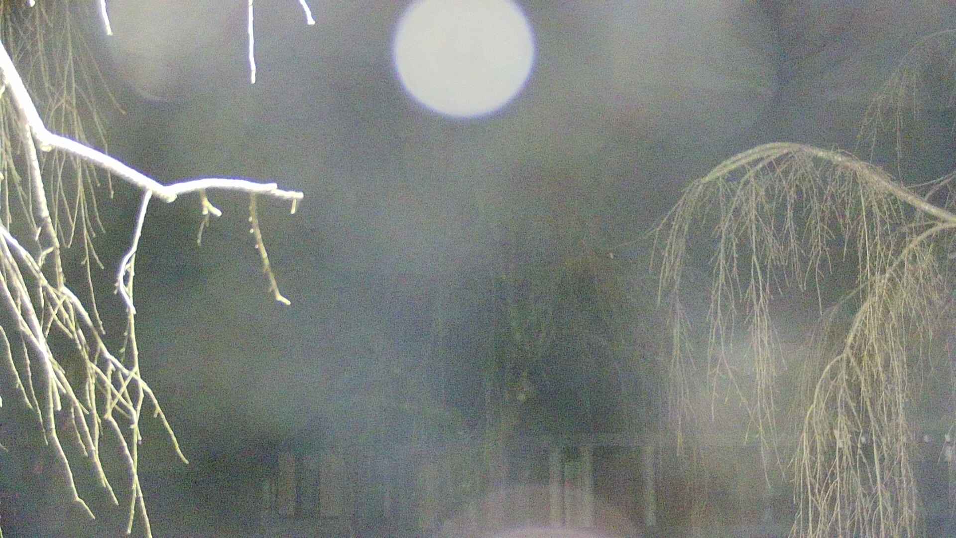 area2-20250412041107.jpg