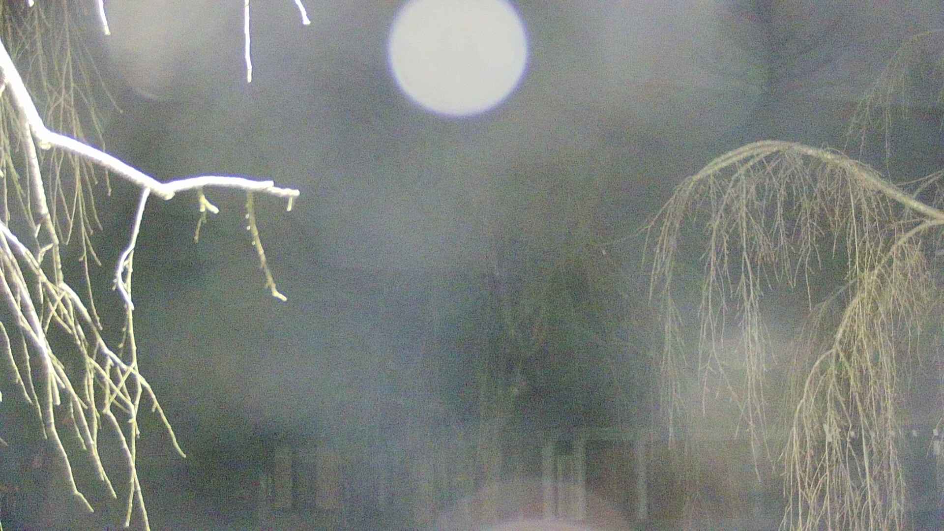 area2-20250412042106.jpg