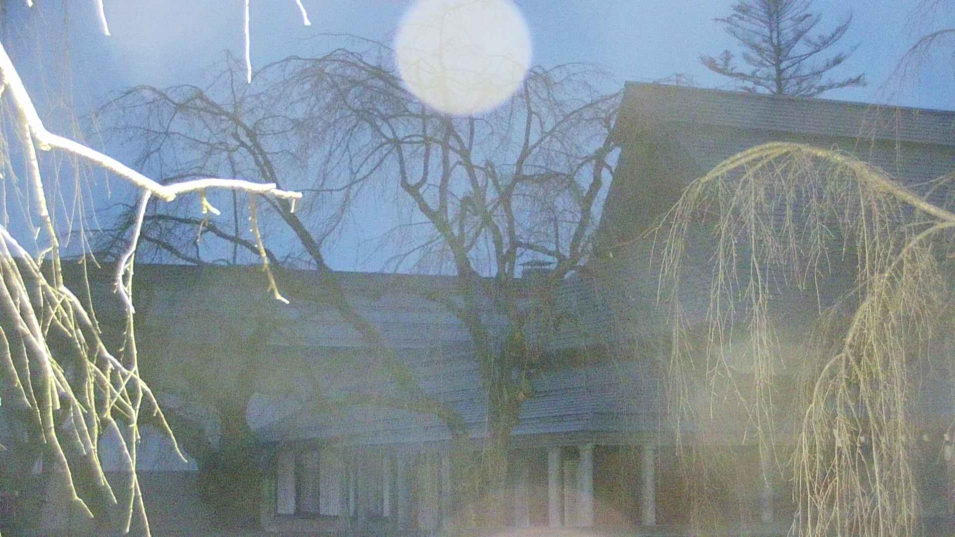 area2-20250412044106.jpg