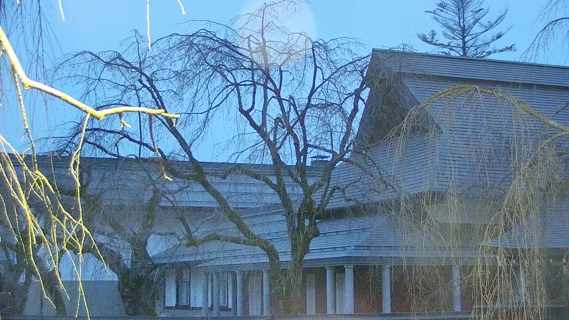 area2-20250412045107.jpg