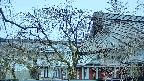 area2-20250412054107.jpg